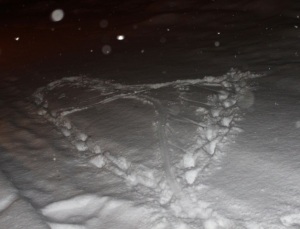 Butterfly made a snow heart with her feet.